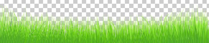 Wheatgrass Green Leaf Plant Stem PNG, Clipart, Border, Cliparts Grass Border, Computer, Computer Wallpaper, Energy Free PNG Download