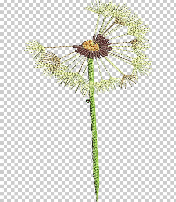 Dandelion Twig Cut Flowers Plant Stem PNG, Clipart, Branch, Cut Flowers, Dandelion, Flora, Flower Free PNG Download
