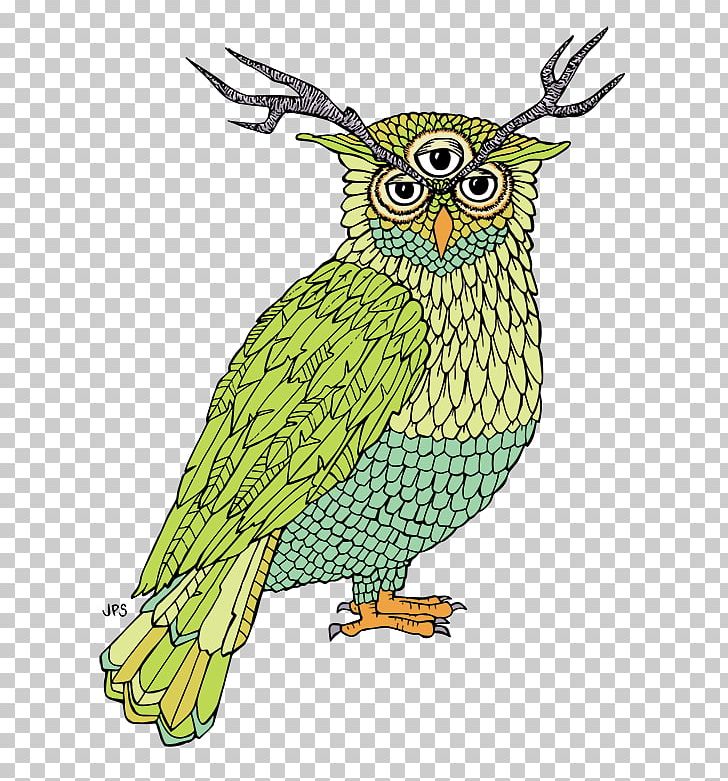 Owl Beak Coloring Book Feather PNG, Clipart, Animals, Art, Beak, Bird, Bird Of Prey Free PNG Download
