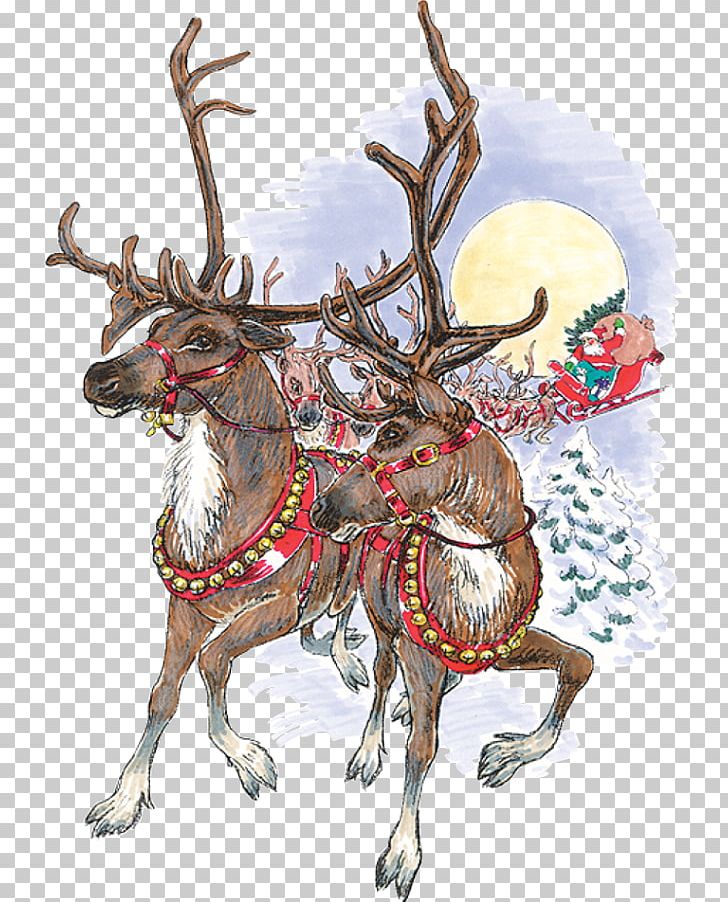 Santa Claus's Reindeer Santa Claus's Reindeer Rudolph PNG, Clipart, Animal, Antler, Art, Cartoon, Christmas Free PNG Download
