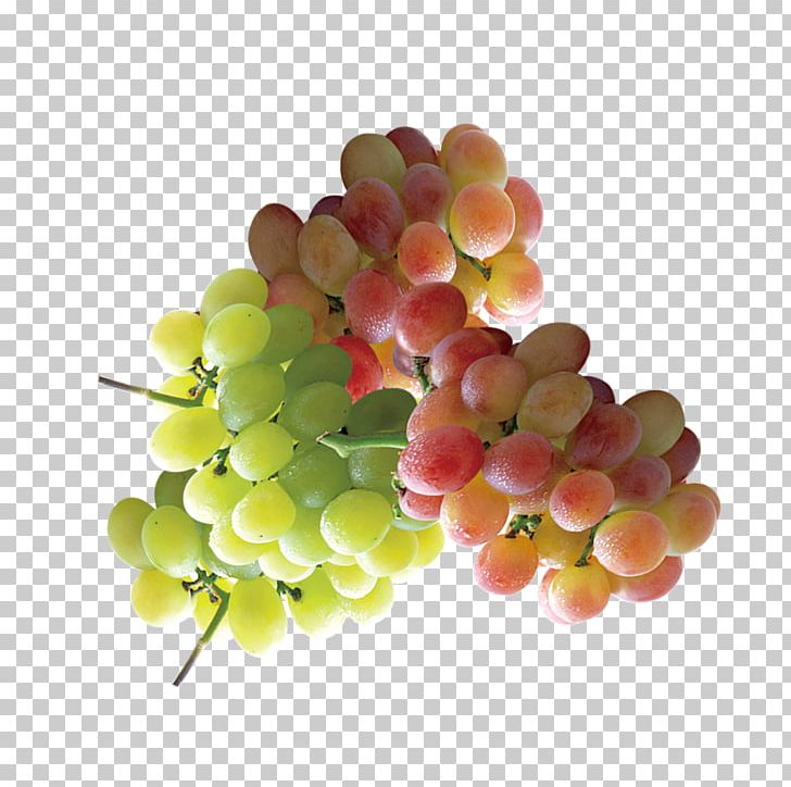 Grape Seed Extract Seedless Fruit PNG, Clipart, Apple, Black Grapes, Blue, Cherry, Cyan Free PNG Download