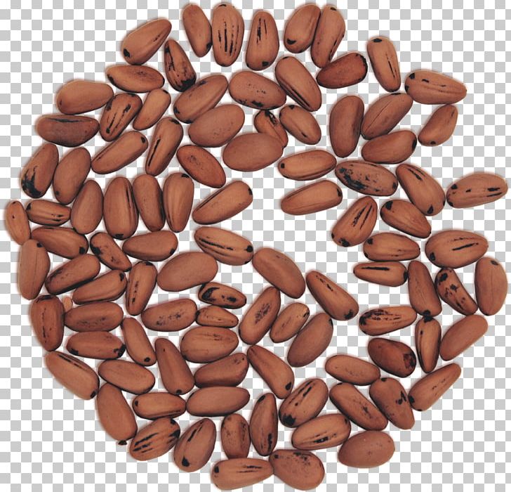 Jamaican Blue Mountain Coffee Nut Seed Bean Ingredient PNG, Clipart, Bean, Cocoa Bean, Commodity, Ingredient, Jamaican Blue Mountain Coffee Free PNG Download