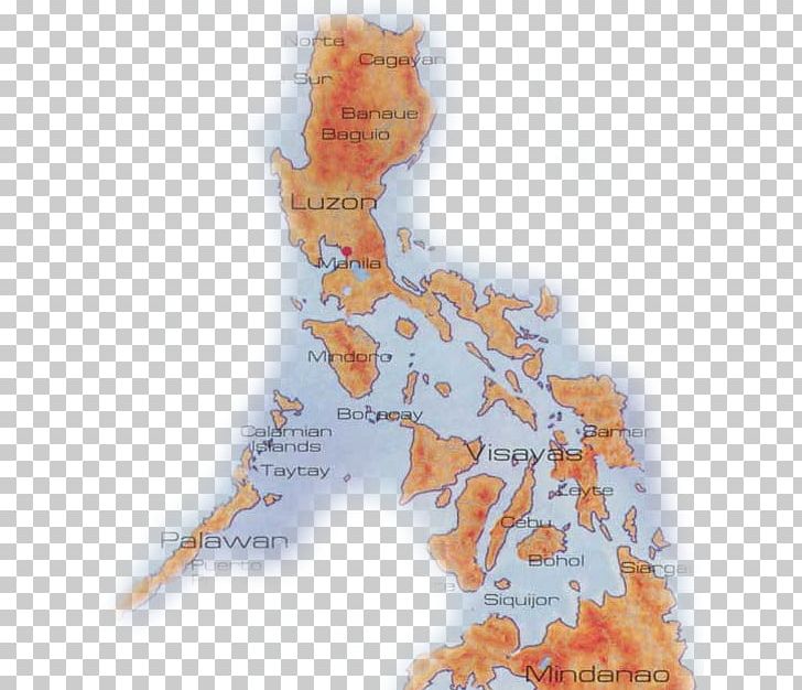 Philippines Map Organism Tuberculosis Island PNG, Clipart, Filipino, Island, Map, Organism, Philippine Map Free PNG Download