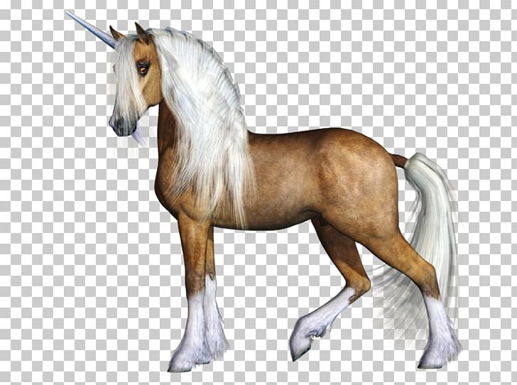 Unicorn Pony Horse PNG, Clipart, 3d Computer Graphics, Animal Figure, Bridle, Colt, Computer Graphics Free PNG Download