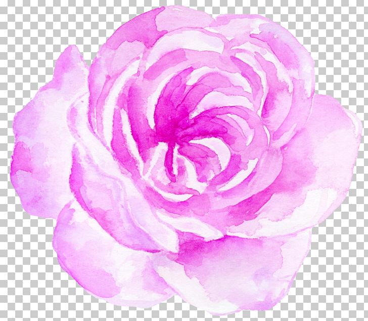 Watercolor Painting PNG, Clipart, Computer Software, Cut Flowers, Decorative, Flower, Garden Roses Free PNG Download