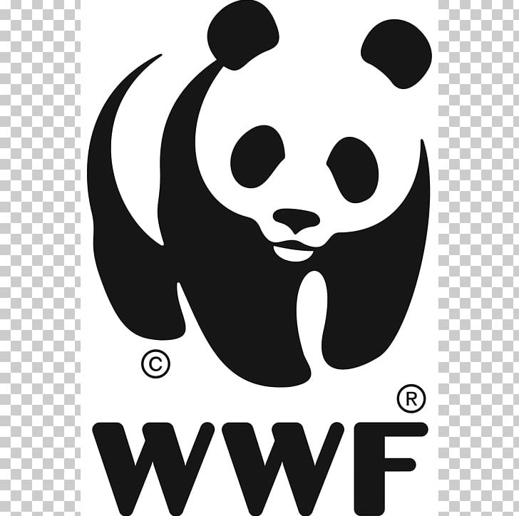 World Wide Fund For Nature WWF Madagascar Logo Conservation WWF Adria PNG, Clipart, Bear, Black, Carnivoran, Cat Like Mammal, Dog Like Mammal Free PNG Download