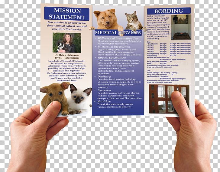 Brochure Advertising Company Dog Breed PNG, Clipart, Advertising, Animal Loss, Brochure, Business, Carpet Free PNG Download