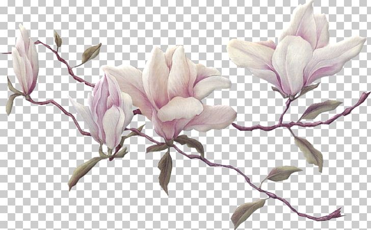 GIF Animaatio Gfycat PNG, Clipart, Animaatio, Animated Film, Blog, Blossom, Branch Free PNG Download