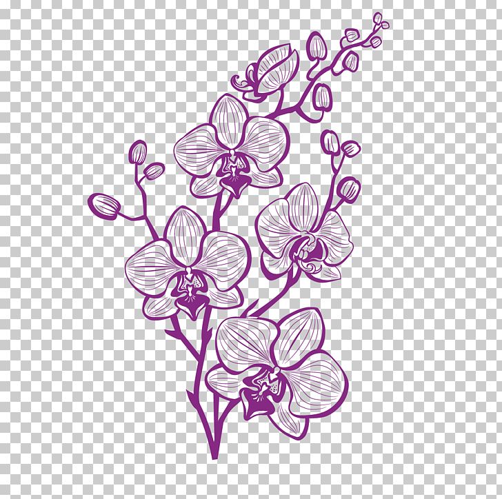 Hand Painted Purple Orchid PNG, Clipart, Branch, Color, Decorative Patterns, Design, Floristry Free PNG Download