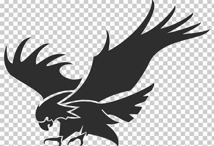 Logo Stencil PNG, Clipart, Art, Bald Eagle, Beak, Bird, Bird Of Prey Free PNG Download