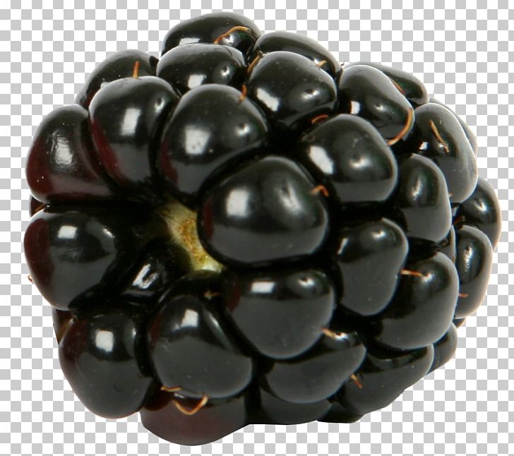 Blueberry Blackberry Raspberry Fruit PNG, Clipart, Aggregate Fruit, Bead, Berry, Blackberry, Blackberry Png Free PNG Download
