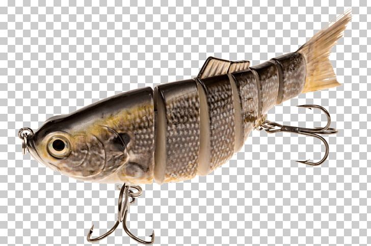 Spoon Lure American Shad Fishing Bait Swimbait Plug PNG, Clipart, Alewife, American Shad, Bait, Bass Fishing, Fish Free PNG Download