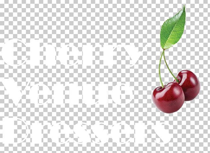 Lingonberry Cranberry Still Life Photography Superfood Cherry PNG, Clipart, Berry, Cherry, Cherry Decoration, Cranberry, Food Free PNG Download