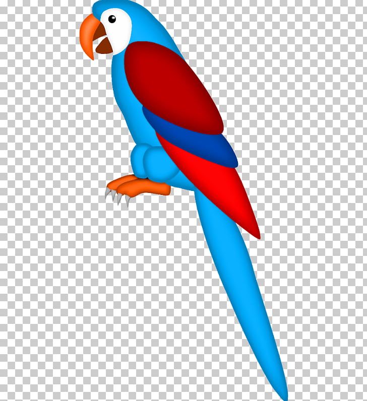 Macaw Bird Drawing True Parrot PNG, Clipart, Animaatio, Animals, Beak, Bird, Blueandyellow Macaw Free PNG Download