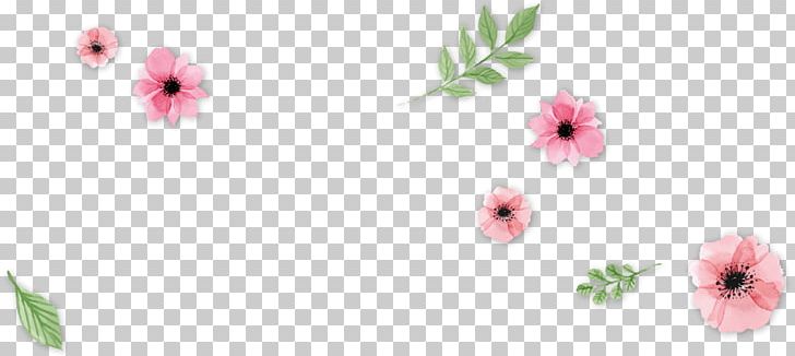 Floral Design Cut Flowers Petal Flowering Plant PNG, Clipart, Blossom, Cut Flowers, Flora, Floral Design, Floristry Free PNG Download
