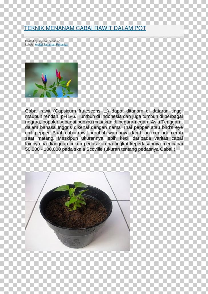 Flowerpot Herb Houseplant PNG, Clipart, Art, Flowerpot, Herb, Houseplant, Plant Free PNG Download