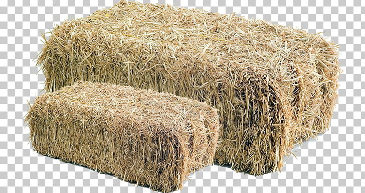 Livestock Feeds And Feeding Hay Straw Paperback Commodity PNG, Clipart, Animal Feed, Commodity, Grass, Grass Family, Hay Free PNG Download