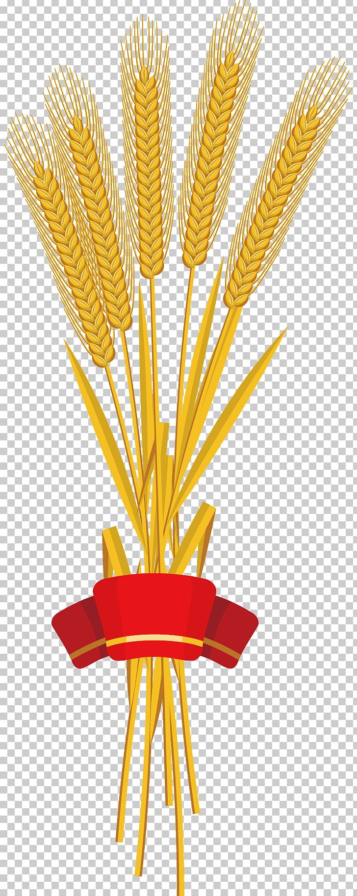 Red Ribbon Wheat PNG, Clipart, Commodity, Decorative Ribbons, Download, Food, Food Grain Free PNG Download