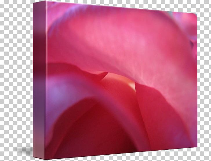 Close-up Lip PNG, Clipart, Closeup, Closeup, Flower, Lip, Macro Photography Free PNG Download
