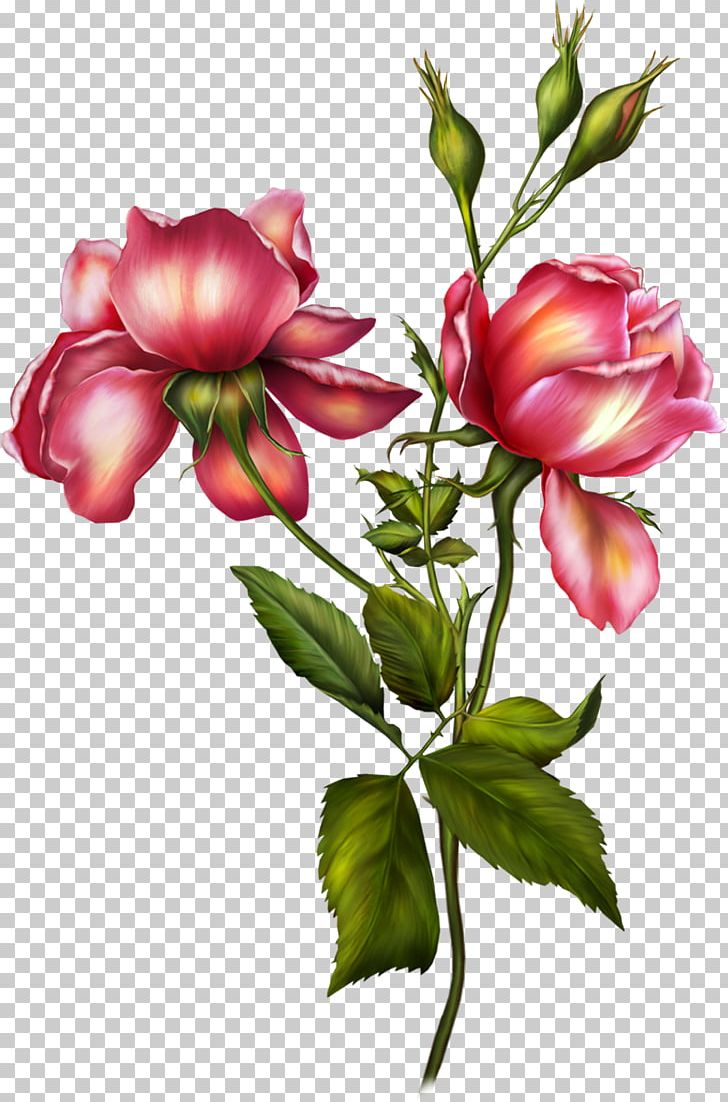 Flower Garden Roses PNG, Clipart, Bud, Cut Flowers, Floral Design, Flower, Flowering Plant Free PNG Download