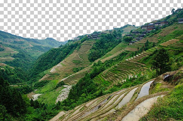 Mount Scenery Terrace Arable Land PNG, Clipart, Agriculture, Farmland, Field, Fields, Football Field Free PNG Download