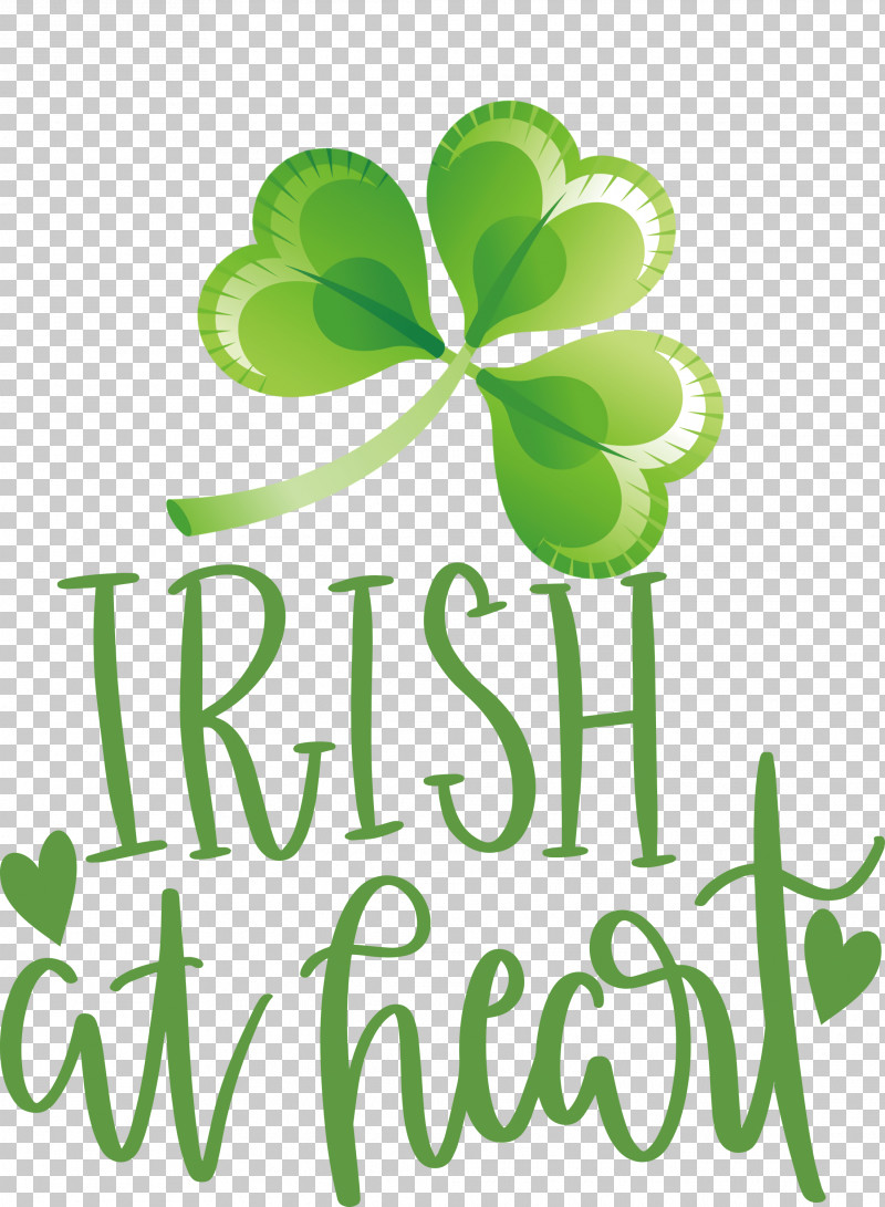 Shamrock Irish Saint Patrick PNG, Clipart, Flower, Green, Irish, Leaf, Logo Free PNG Download