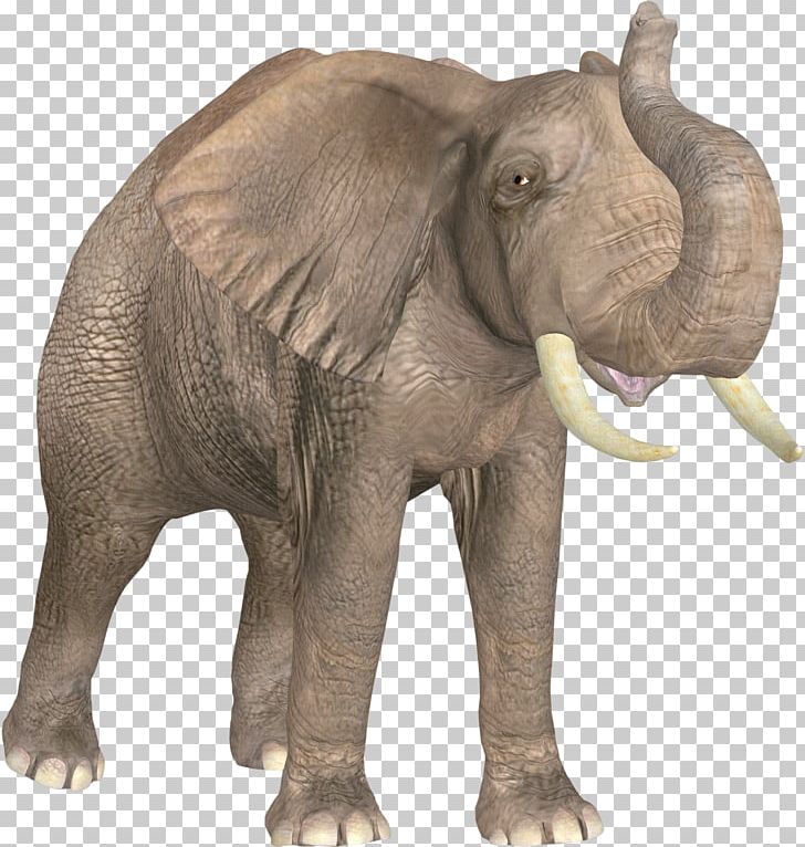African Elephant Indian Elephant Ivory PNG, Clipart, Animal, Animals, Baby Elephant, Cute Elephant, Designer Free PNG Download