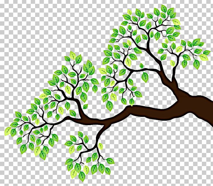 Branch Tree Drawing PNG, Clipart, Art, Branch, Branches, Can Stock Photo, Clipart Free PNG Download