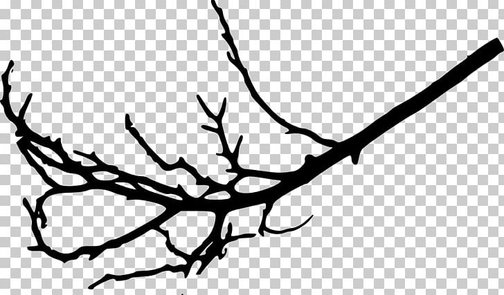 Branch Tree Leaf Twig Woody Plant PNG, Clipart, Antler, Artwork, Beak, Black And White, Branch Free PNG Download