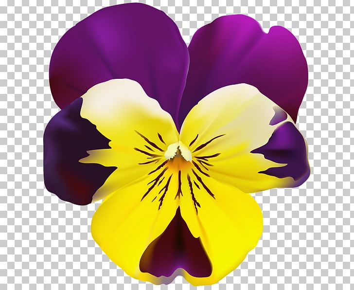 Pansy Art Drawing PNG, Clipart, Art, Art Museum, Clip Art, Computer Icons, Drawing Free PNG Download