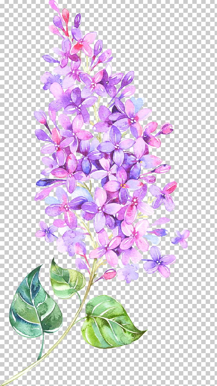 Flower Lilac Violet PNG, Clipart, Art, Branch, Cut Flowers, Dendrobium, Designer Free PNG Download