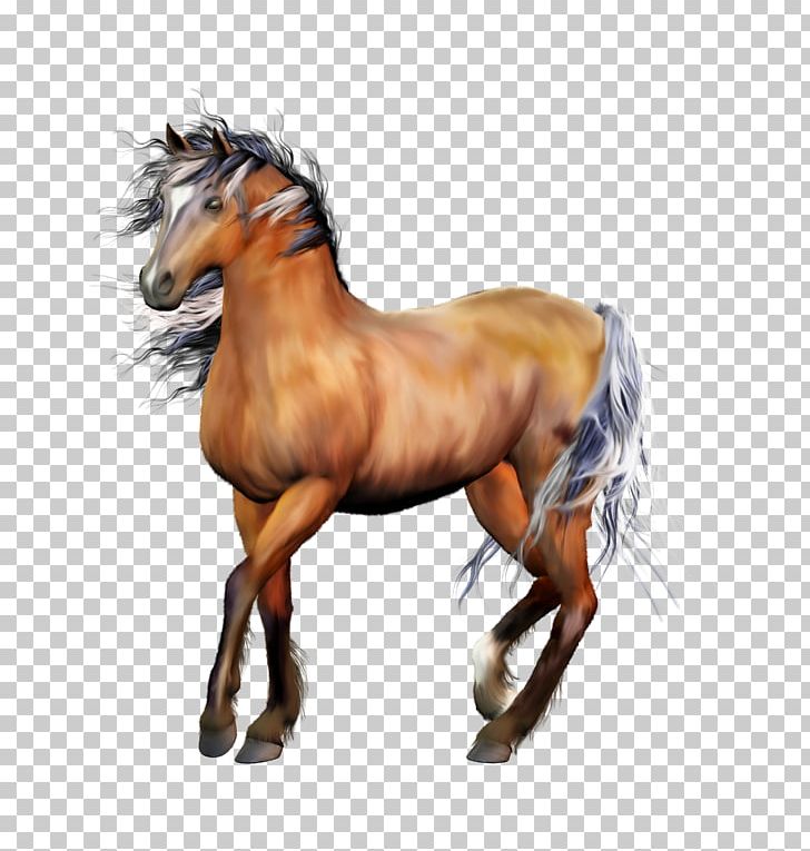 Horse Animation PNG, Clipart, Android, Animal, Animals, Bridle, Colt Free PNG Download