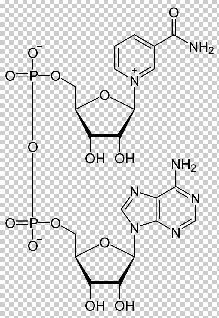 Nicotinamide Adenine Dinucleotide Phosphate Cofactor PNG, Clipart, Anabolism, Angle, Auto Part, Cell, Enzyme Free PNG Download