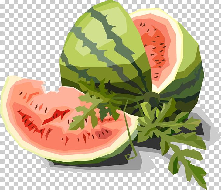 Euclidean Drawing Illustration PNG, Clipart, Cartoon Watermelon, Encapsulated Postscript, Food, Fresh Juice, Fresh Salmon Free PNG Download