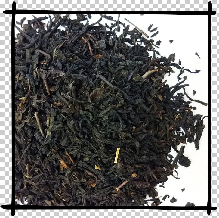 Lapsang Souchong Nilgiri Tea Darjeeling Tea Earl Grey Tea Keemun PNG, Clipart, Assam Tea, Bai Mudan, Bancha, Biluochun, Black Tea Free PNG Download