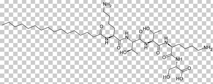 Palmitoyl Pentapeptide-4 Black And White Angle PNG, Clipart, Acetyl Hexapeptide3, Angle, Black, Black And White, Circle Free PNG Download