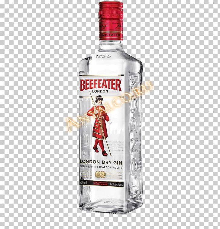 Gin Distilled Beverage Tanqueray Whiskey Seagram PNG, Clipart, Absolut Vodka, Alcoholic Beverage, Angelica Archangelica, Beefeater, Beefeater Gin Free PNG Download