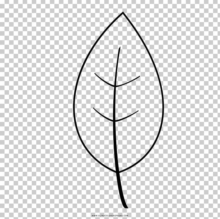 Line Leaf Angle PNG, Clipart, Angle, Area, Art, Black And White, Circle Free PNG Download