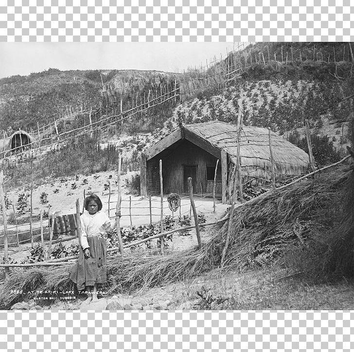 Māori People Museum Of New Zealand Te Papa Tongarewa Lake Tarawera Hunter-gatherer Harvest PNG, Clipart, Agriculture, Black And White, Cliff Curtis, Culture, Food Free PNG Download