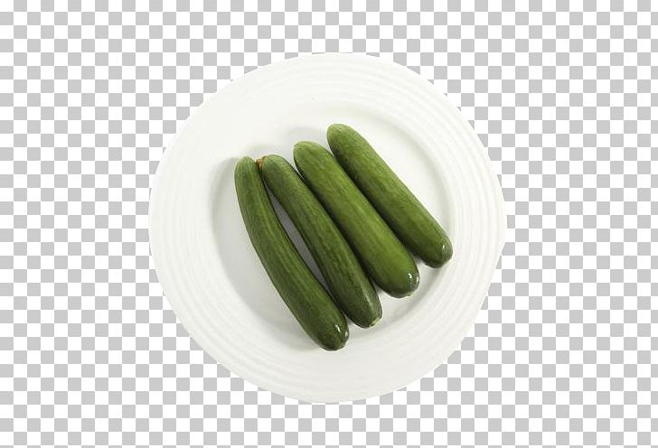 Pickled Cucumber Zucchini PNG, Clipart, Adobe Illustrator, Cucumber Cartoon, Cucumber Juice, Encapsulated Postscript, Food Free PNG Download