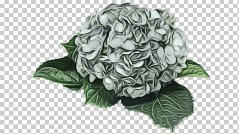 Floral Design PNG, Clipart, Cut Flowers, Floral Design, Flower, Hydrangea, Paint Free PNG Download