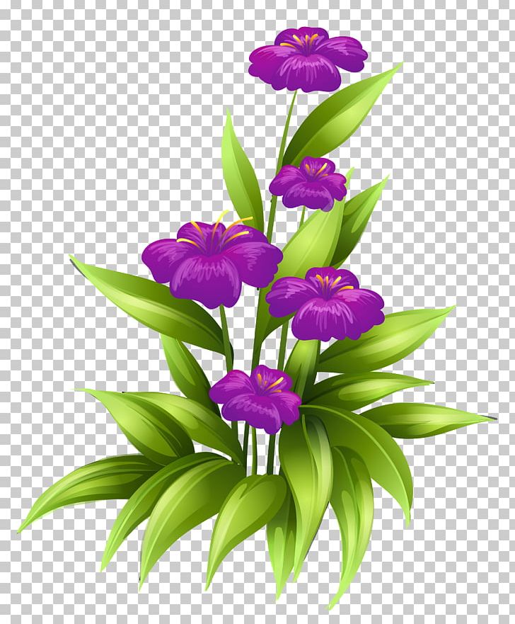 Flower Purple Stock Illustration PNG, Clipart, Cattleya, Clipar, Clip Art, Color, Cut Flowers Free PNG Download