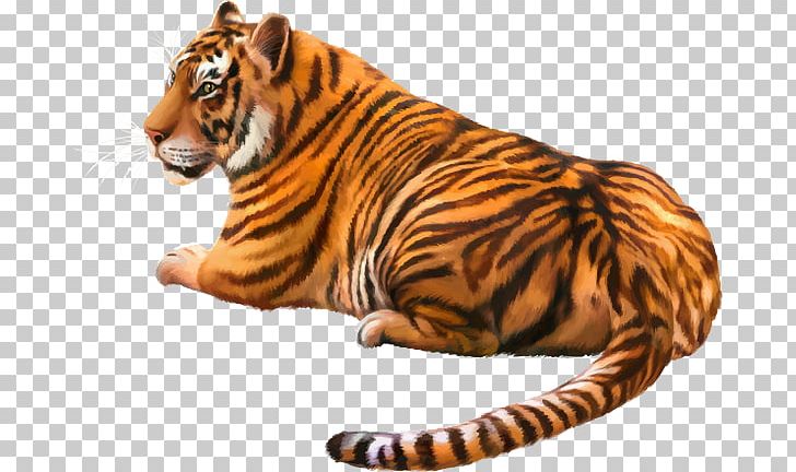 Lion Cat Bengal Tiger White Tiger Siberian Tiger PNG, Clipart, Animal Figure, Animals, Bengal Tiger, Big Cats, Carnivoran Free PNG Download