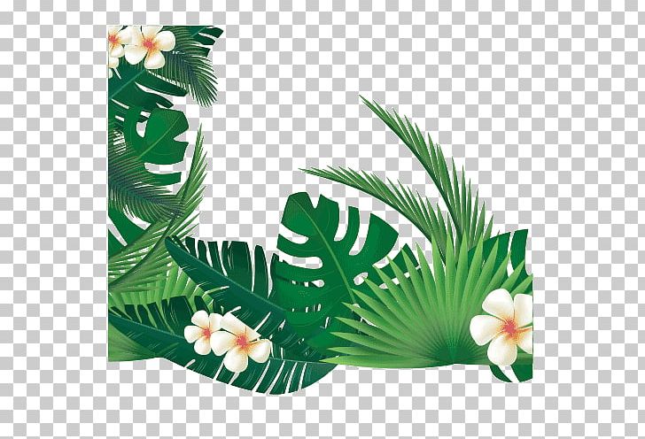 Paper Illustrator PNG, Clipart, Behance, Creative Market, Designer, Flower, Flowering Plant Free PNG Download