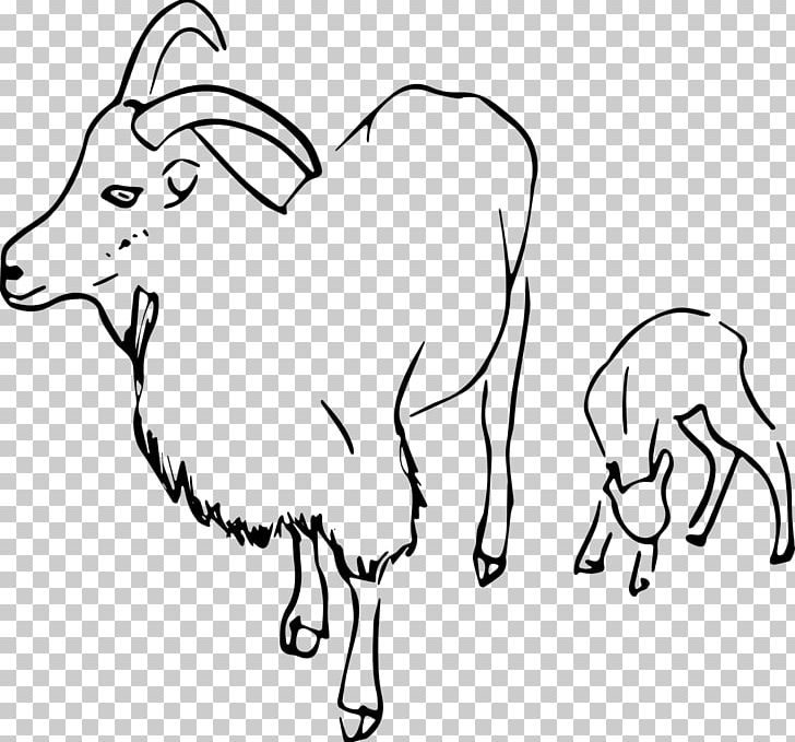 Ahuntz Cattle Drawing PNG, Clipart, Beak, Carnivoran, Cartoon, Cow Goat Family, Fauna Free PNG Download