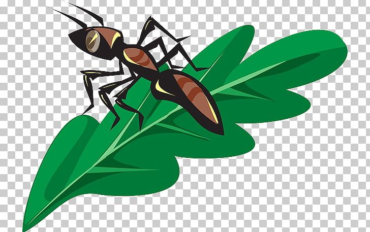 Ant Insect Butterfly PNG, Clipart, Animal, Animals, Ant, Ant Colony, Brown Free PNG Download