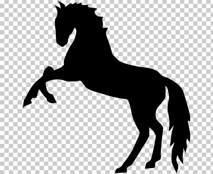 Mustang Stallion American Paint Horse Standing Horse PNG, Clipart, American Paint Horse, Black And White, Bridle, Collection, Colt Free PNG Download