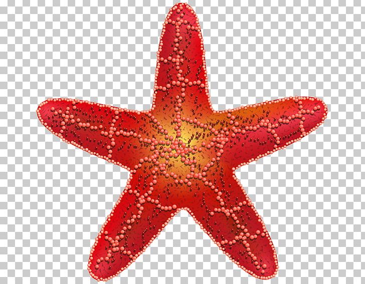 Starfish Red Star Symbol Star Polygons In Art And Culture PNG, Clipart, Animals, Clip, Communism, Communist Symbolism, Echinoderm Free PNG Download