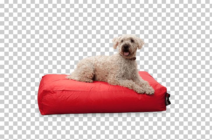 Dog Breed Puppy Smoothie Companion Dog PNG, Clipart, Animals, Bed, Bedding, Breed, Comfort Free PNG Download