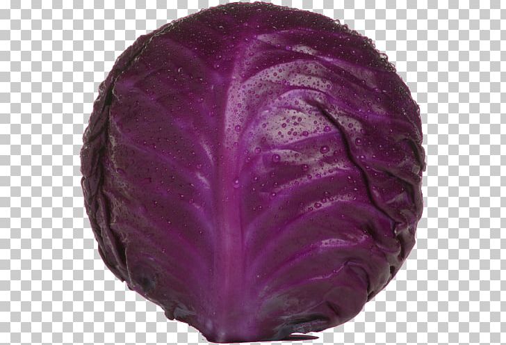 Red Cabbage Coleslaw Vegetable Cauliflower PNG, Clipart, Brassica Oleracea, Cabbage, Cauliflower, Choux Chinois, Coleslaw Free PNG Download